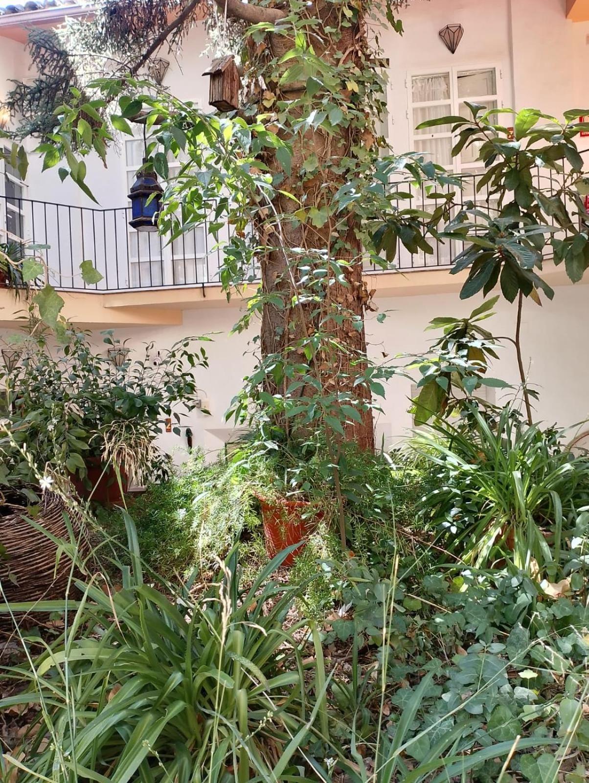 Casa Rural Plaza De Santa Maria Cazorla Zewnętrze zdjęcie