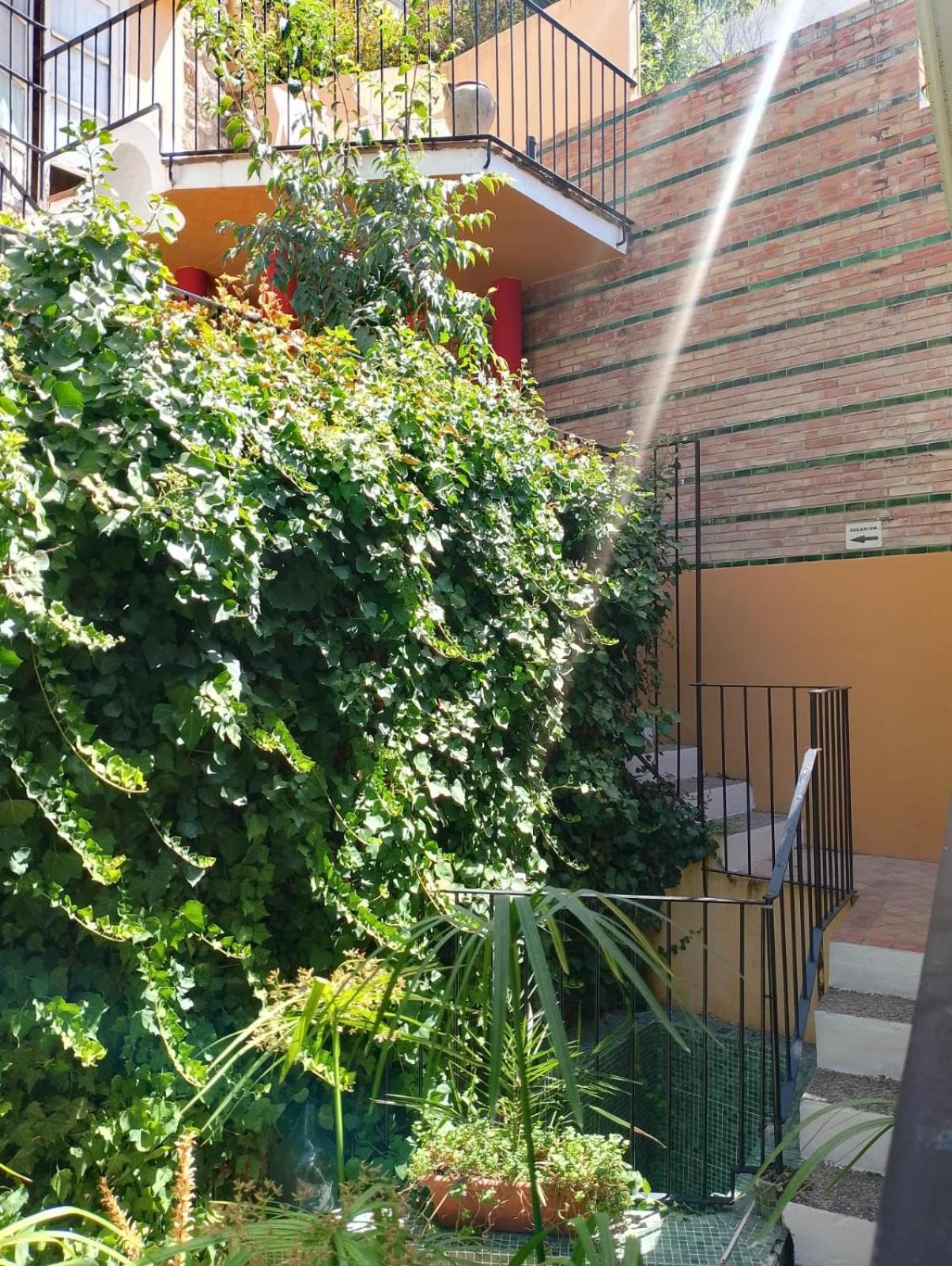 Casa Rural Plaza De Santa Maria Cazorla Zewnętrze zdjęcie